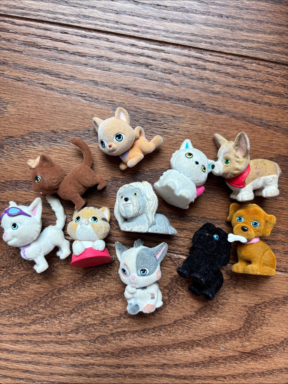 Lot of Puppy/Kitty in my pocket